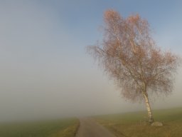 Nebelgrenze Talacher