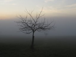 Nebelgrenze Talacher